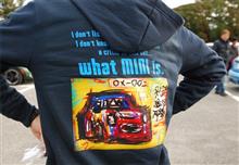 MINIでイルミネーション、東京ドイツ村