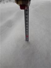 雪が積もり始めました😁 雪が積もり始めました😁