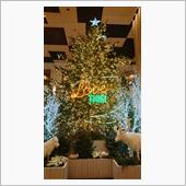 クリスマスな雰囲気とハーレー ...