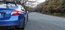 iQやらボクスターやらS208やら
