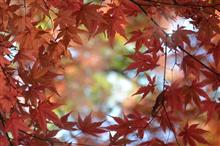 １２月の無量光寺