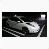 リーフがやってきた
