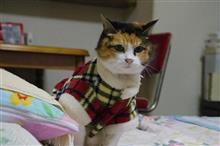 あれから10年…