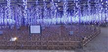 佐野市、足利市めぐり! 佐野市、足利市めぐり!