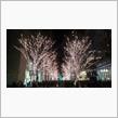 It&#39;s X&#39;mas@丸の内仲通り