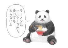 12月23日(日)