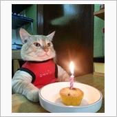 クリスマスパーティーからの朝