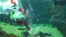 ♯クリスマスのエリー【クリスマスの水遊園】 ♯クリスマスのエリー【クリスマスの水遊園】