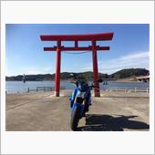 今年最後の