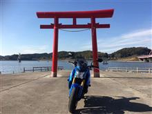 今年最後の