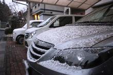 予報通りに外は雪じゃ～んかぁ～＞＜
