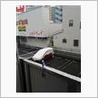 帰省