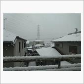 名古屋初雪