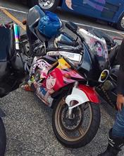CBR250R大祭り❗️HONDA 1988 1989CBR250R Vol.1❗️ in Racer Replica Big Festival2018秋 CBR250R大祭り❗️HONDA 1988 1989CBR250R Vol.1❗️ in Racer Replica Big Festival2018秋