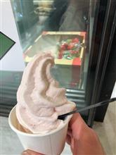 食べ納め