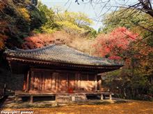 富貴寺、両子寺、御朱印＆紅葉