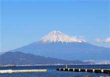 富士山が見たいらしいので三保松原へ・・・