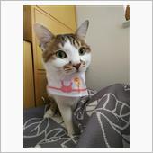 2019になりましたね