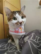 2019になりましたね
