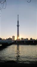 浅草の２日目に日の出🌅散歩。