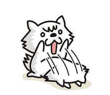 年末最後のお願いをした結果は？？？？？