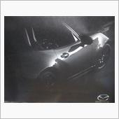 2019買出しドライブ②