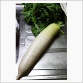 大根　そこそこ大きかった