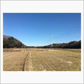 お正月の清算活動の巻・・!( ...
