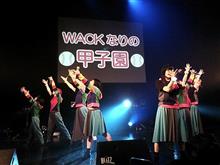 「WACKなりの甲子園」 @赤坂BLITZ