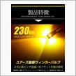今年初めの運試し