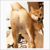 入院病棟がある病院付近にある ...