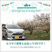 愛車と出会って1年！