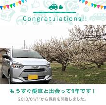 愛車と出会って1年！