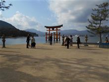 厳島　正月7日に参拝いたしました。