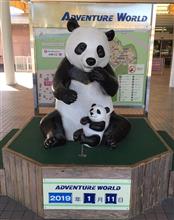 気になるあのコに逢いに行ってきました(*^^*)