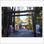 かなり暖