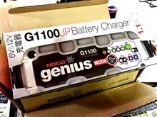 クルーズ Ｄａｉ絶賛 ノコＧ１１００本日も入荷！