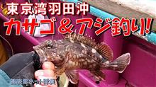 東京湾羽田沖カサゴ＆アジ釣り｢釣りたてで晩酌!アジもいいけどカサゴも最高!」健啖隊ネット隊員(y.katsu)