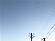 電線にだけ