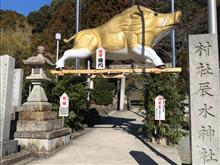 猪飾り