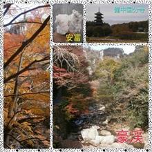 豪渓→安富ジェラート→備中国分寺