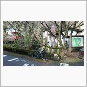 2019年、正月休み明け…