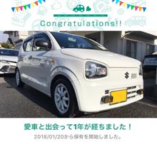 愛車と出会って1年! 愛車と出会って1年!