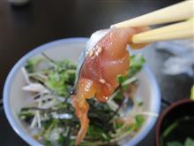 1.20 トラとジャガーとカエルとS660で魚を食べに行ってきました。 1.20 トラとジャガーとカエルとS660で魚を食べに行ってきました。