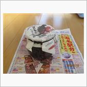 駅弁大会に行ってみた　