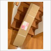 少しづつ本格的に…