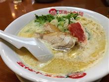 鶏白湯らーめん 太陽のトマト麺