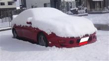 雪に埋もれたセリカ