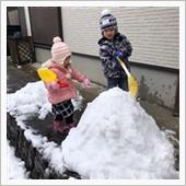 雪が降りました。