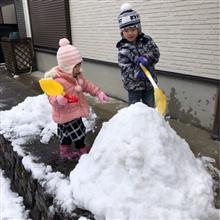 雪が降りました。